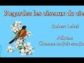 Regardez les oiseaux du ciel