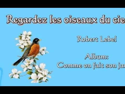 regardez-les-oiseaux-du-ciel-youtube