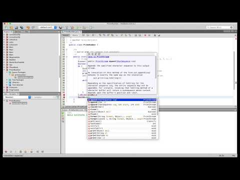 How to Write a Simple Java Program in NetBeans? (Prime number finder)