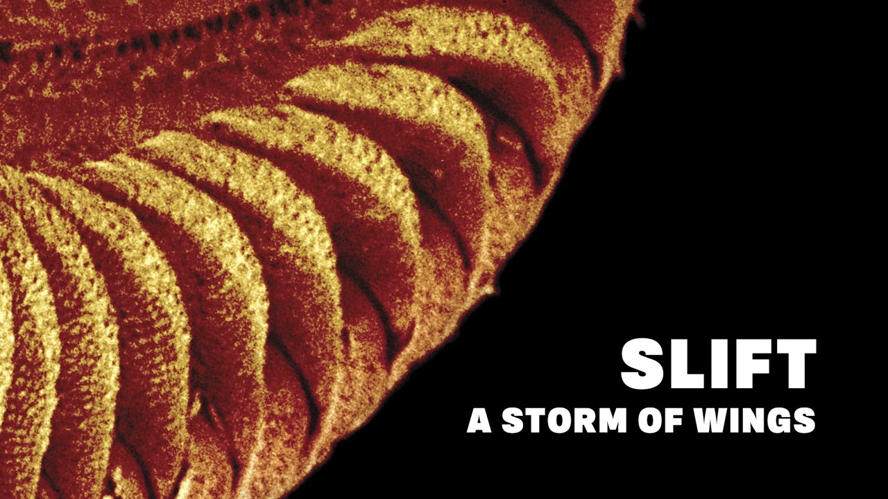 SLIFT - A storm of Wings