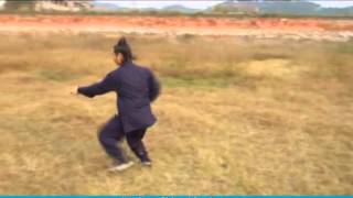 Wudang Shing-I Boxing by Master Chen Zhilin