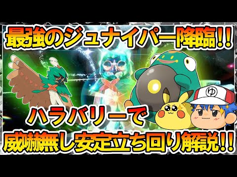 【ポケモンSV】よわすぎんだろ…最強？のジュナイパーを誰でも持ってるハラバリーで安定攻略【ゆっくり解説】