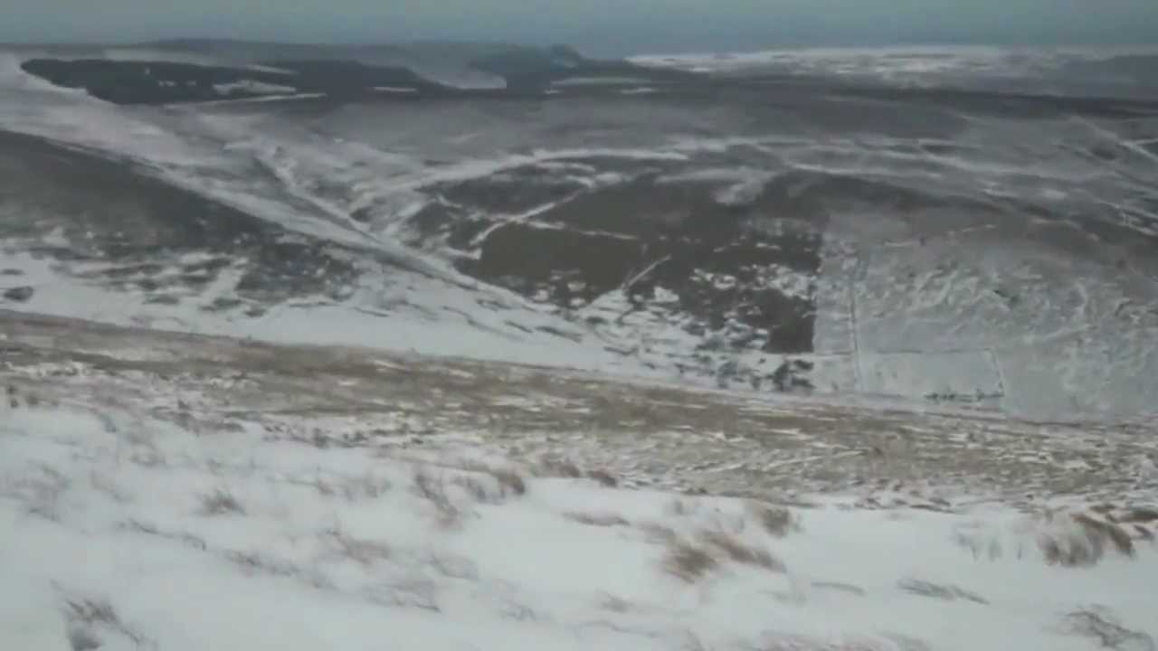 Sheep Under The Snow - March 2013