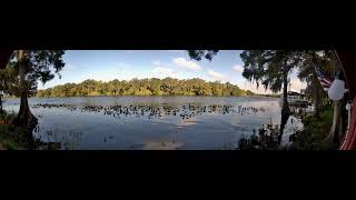Timelapse: St. Johns River Bliss - DeBary, FL, August 20, 2025