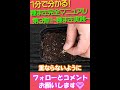 種まき完全マニュアル第3弾 #shorts by園芸チャンネル 362 園芸 ガーデニング 初心者