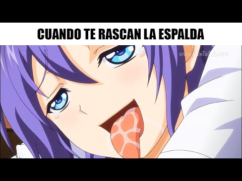 memes-anime-#01