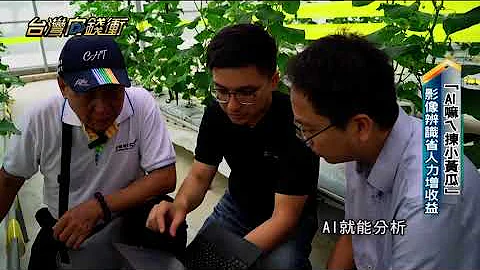 「AI嘛ㄟ揀小黃瓜」 影像辨識省人力增收益 - 天天要聞