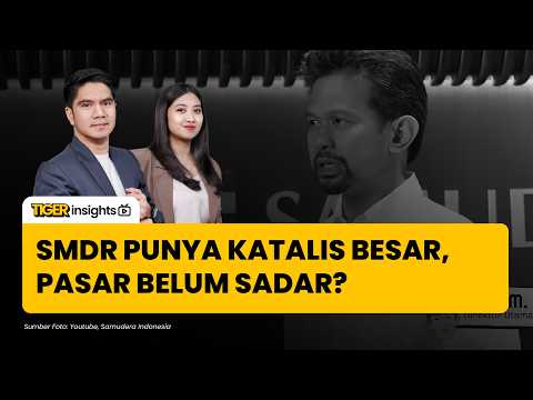 Beli atau Tunggu? Analisis Jujur Saham SMDR Setelah Laporan Keuangan Terbaru