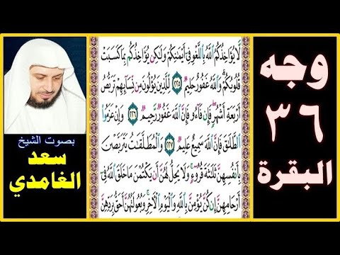 صفحة 36 سورة البقرة بصوت سعد الغامدي لا يؤاخذكم الله باللغو في أيمانكم ولكن يؤاخذكم بما كسبت قلوبكم
