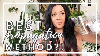 BEST Propagation Methods + Tips | A Propagation Experiment
