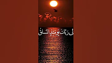 كلا اذا بلغت التراقي وقيل من راق بصوت محمد حسين ه ديل 