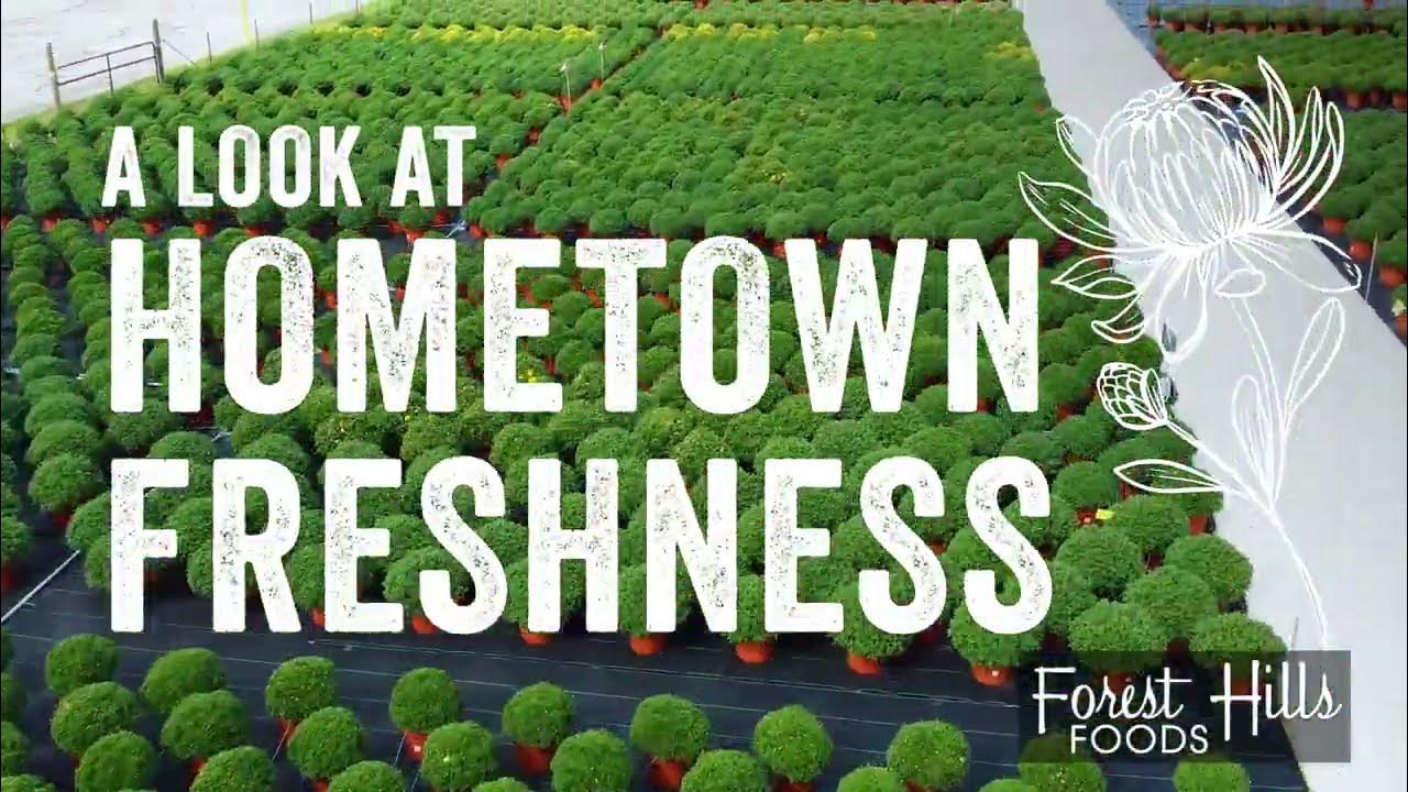 LOCAL Huizenga Brothers Greenhouse, Grand Rapids MI YouTube