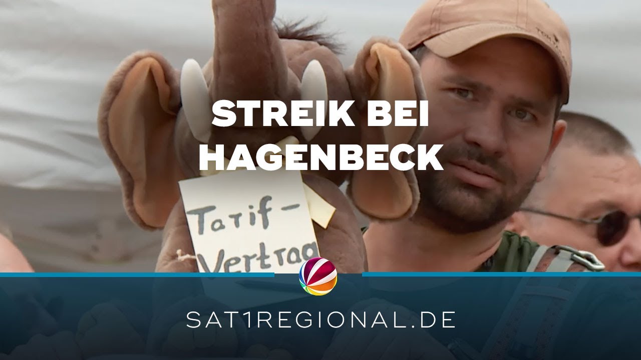 Tierpark Hagenbeck: Beschäftigte streiken