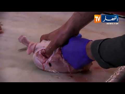 المذابح تمدد أوقات العمل وتجند فرق إضافية لتوفير اللحوم قبيل رمضان بالشلف