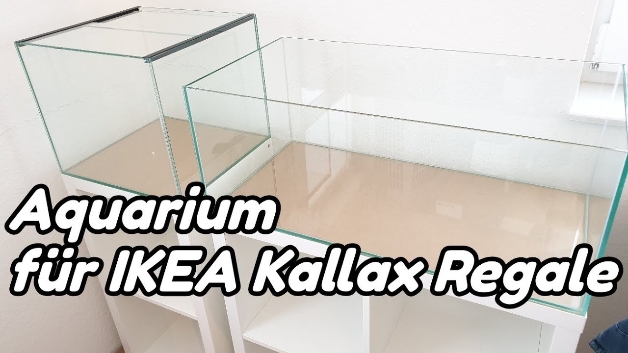 Aquarium für IKEA Kallax Regale - YouTube