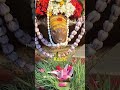 वाराणसी नाथ मम नाथ #mahadev #love #kashi #shorts #youtube #shravan shra