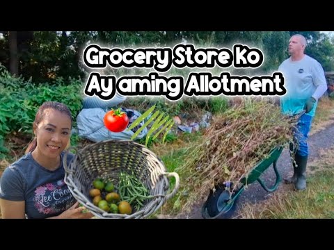 Grocery Store ko Ay aming Allotment Pag masipag ka lang mayroon ka nang libreng pang ulam 🇬🇧