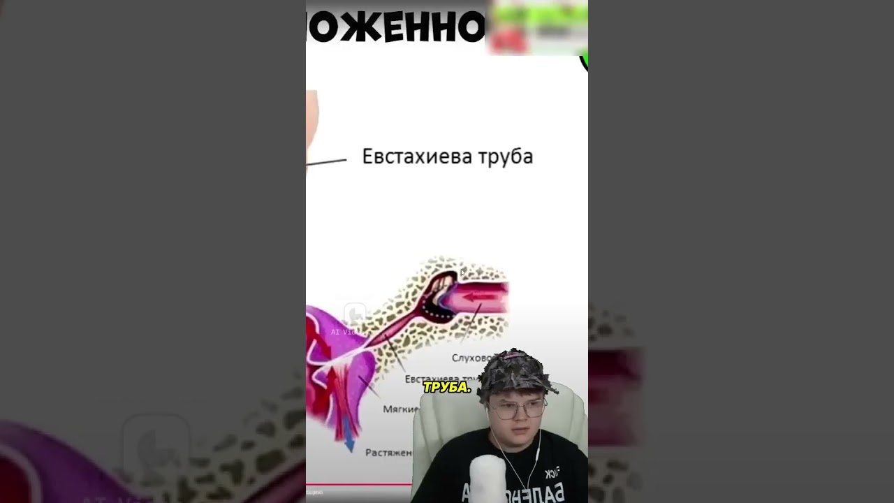 КАША СМОТРИТ Все глюки тела за 12 минутpodcasts tips 1