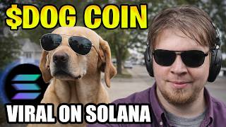 $DOG Coin Is Going Viral on Solana | Here’s What I Found