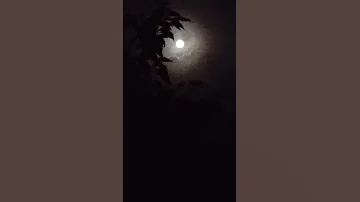Surah Al Qamar Al Quran The Moon 