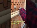 謎の銀テープを貼るエアコン職人。その理由は!?#shorts