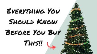 BraveDream 33FT Smart Christmas Ribbon Lights Review