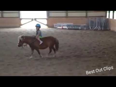 take-my-horse-old-town-road-remix-funny-new-fails