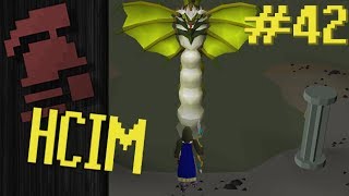 Snake Harvest | Ep. 42 HCIM Progress