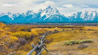 Magnificent Cabin View Of The Mountains At The Teton National Park | Ambient Nature Sound (NO MUSIC)