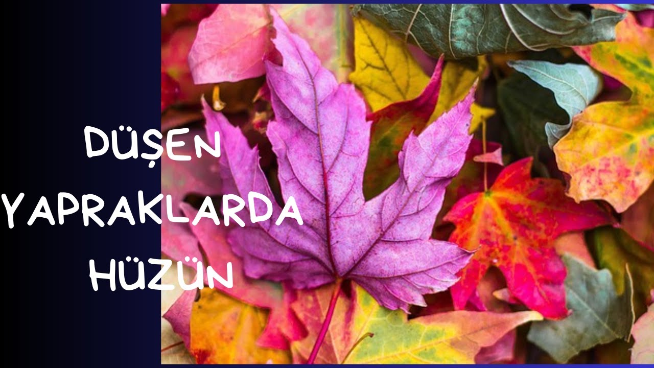 ASKIN SONBAHARI "Autumn of Love – a beautiful Turkish classical music piece."