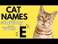 100+ Cat Names Starting With &quot;E&quot; | Boy and Girl Cat Names | E Cat Names