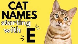 100+ Cat Names Starting With 'E' | Boy and Girl Cat Names | E Cat Names by Dog and Cat Names 262 views 1 year ago 7 minutes, 17 seconds
