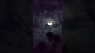 Natural night sound  #toponslr, #모델출사, #자연광, #lungaesposizionenotturna, #레이싱모델, #모델사진, #racingmodel,