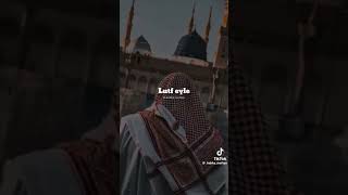 Şu Garibe Luft Eyle Gönlüme Nazar Eyle Resimi