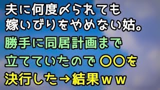 【スカッとする話】夫に何度〆られても嫁いびりをやめない姑。勝手に同居計画まで立てていたので〇〇を決行した→結果ww【スカッと便り】