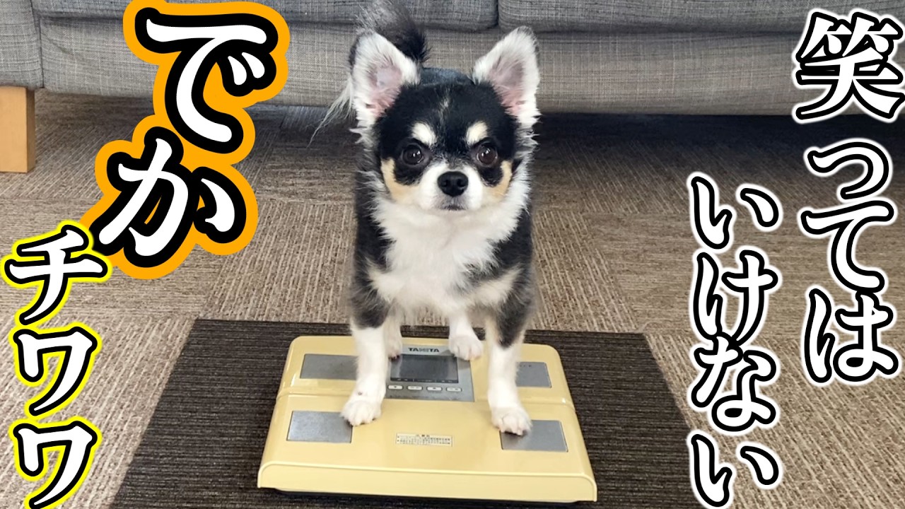 Why?] I weighed myself for the first time in a while and got a