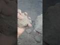 Silky soft Sand mud dry crumbling 🤩✨#satisfyingasmr #cementart #trendingshorts #satisfying #oddly