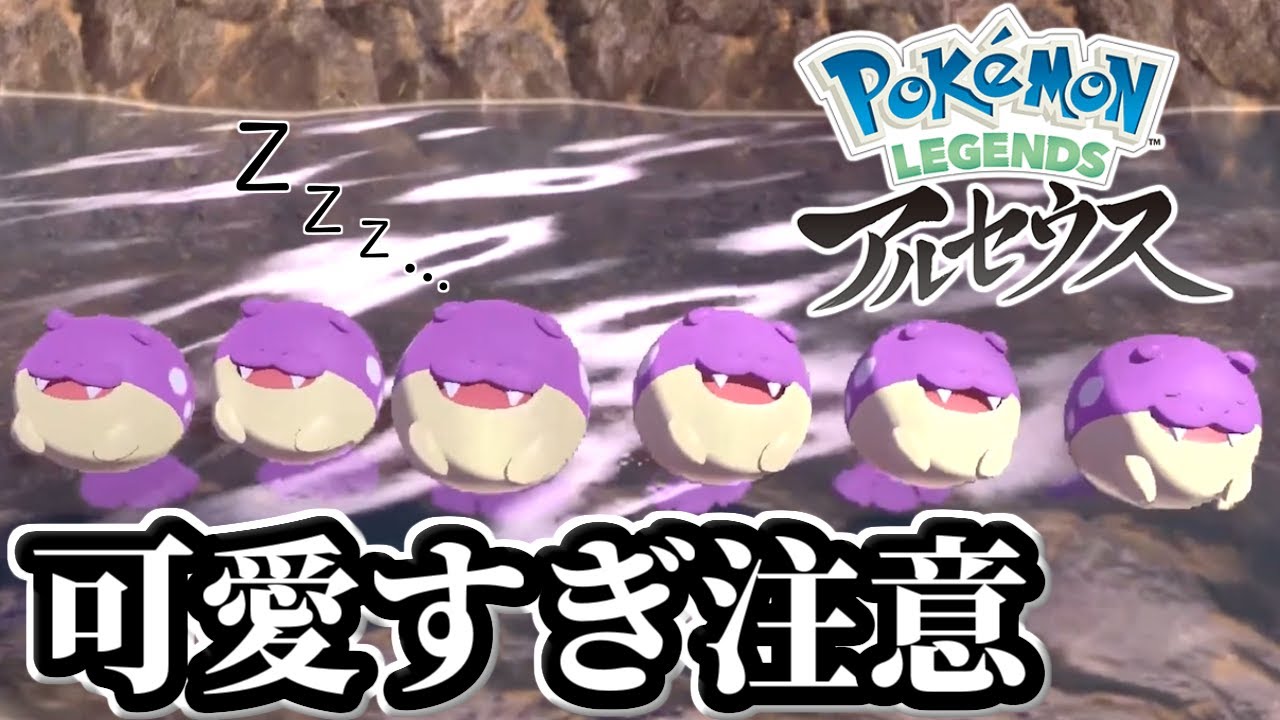 タマザラシの水の上でも寝てしまう姿が可愛すぎたｯｯｯ!!!【ごま