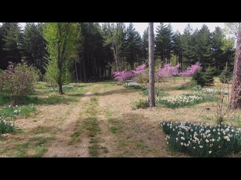 M5 TV – Erdei utakon – Reviczky Gáborral – 2024/18. adás – 2024.05.12.