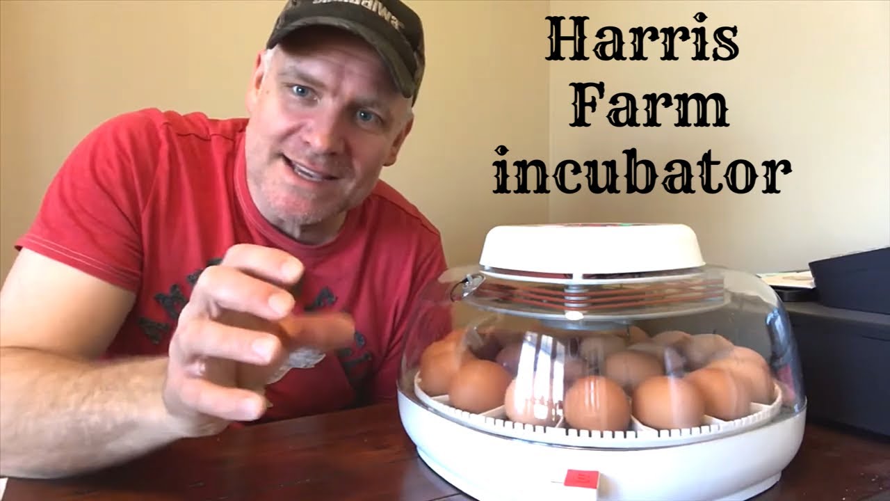 Harris Farm Nurture Right 360 - YouTube