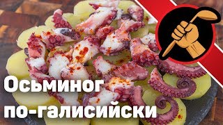 Осьминог. Испанская классика - pulpo a la gallega