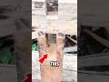 Genius Wood Joint Trick That Locks Itself #woodworking #diyprojects #tipsandtricks