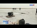 В озерах Койбальской степи спасают рыбу