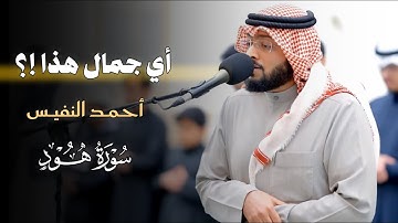 ما تيسر من سورة هود للقارئ أحمد النفيس | عشاء 24-10-1446 هـ