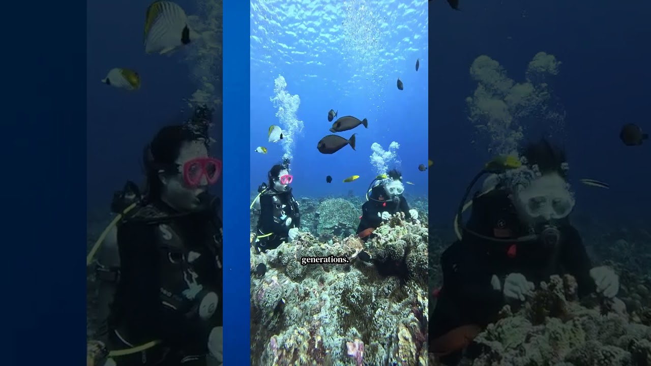 The Science of Coral Reef Restoration – Engineering artificial reefs and coral nurseries.