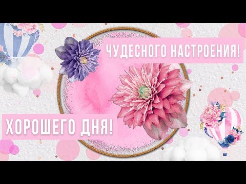 🌞Хорошего дня, чудесного настроения!🌞Анимационная открытка #WhatsApp