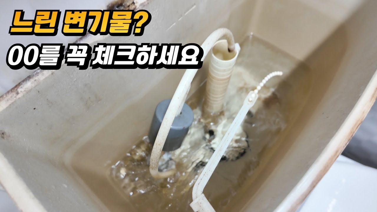 변기 물 약하게 내려가는 진짜 이유… 3분 만에 고치는 법