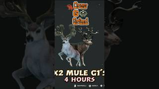 Two Great One Mule Deer in 4 Hours – Crew Grind Victory! 🦌💥 - theHunter: Call of the Wild #shorts