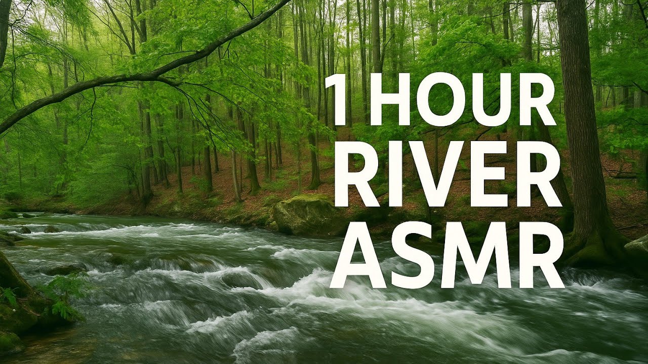 ASMRIf you need a highly sensitive yet not overly stimulating sound, you can listen 