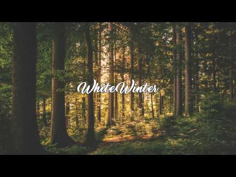 What can i do - ROOK1E